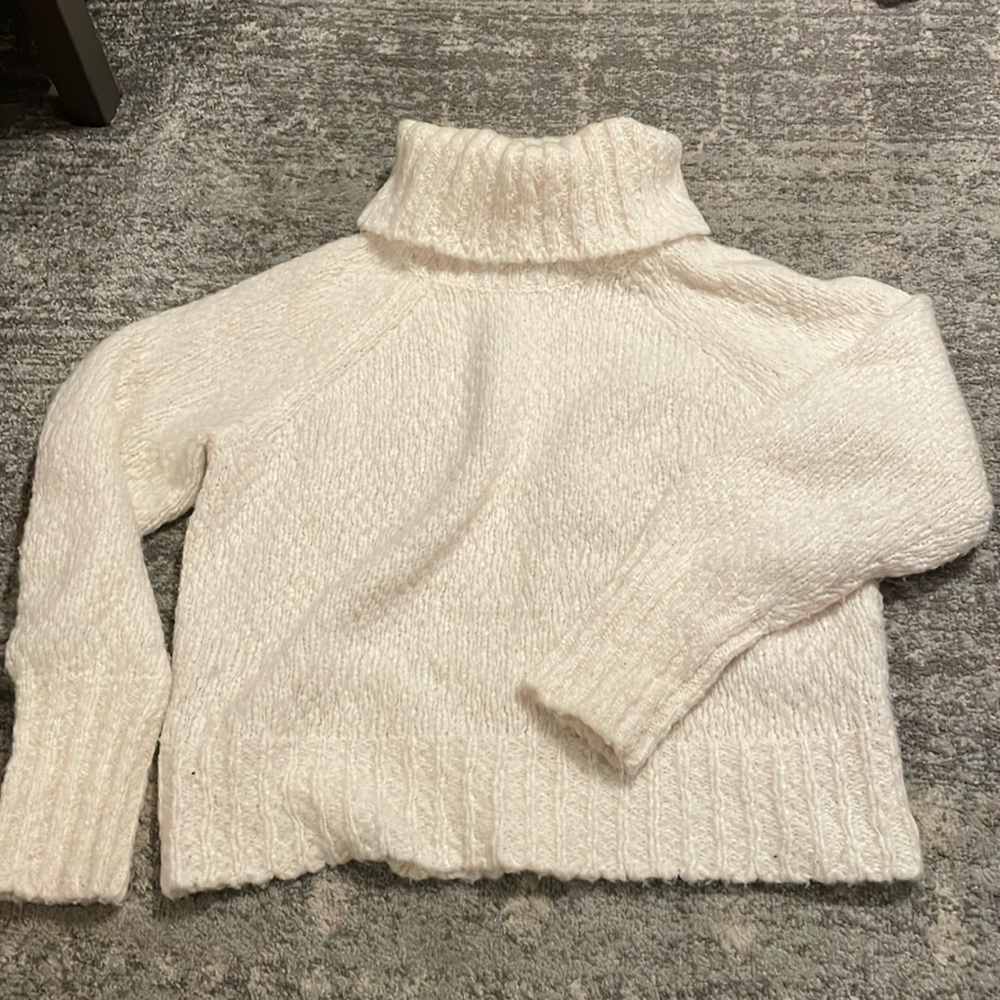 J Crew turtleneck sweater. Good condition